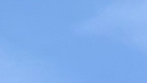 El parque realizará una revisión interna exhaustiva de sus protocolos de seguridad y colaborará con las autoridades.