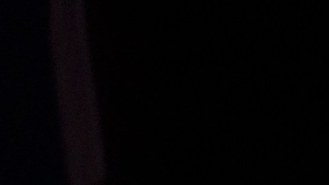 Una falla en la actualización de la IA de xAI provocó que esta enloqueciera de forma momentánea