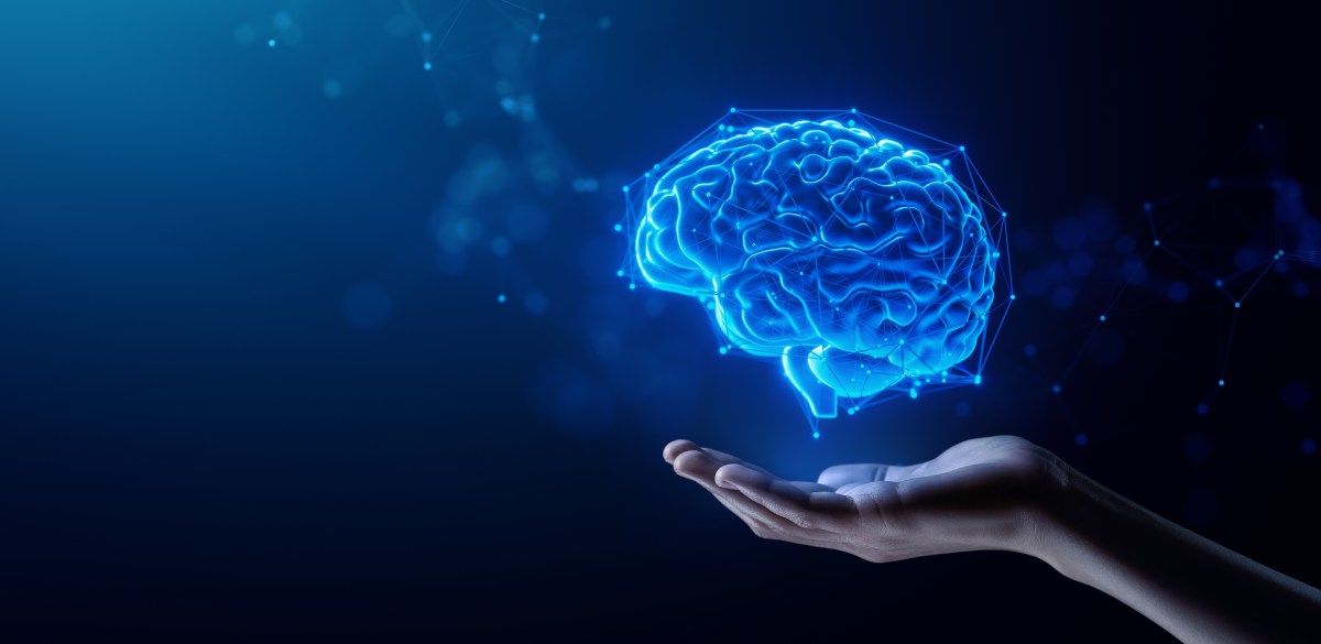 ¿Tu cerebro en una “USB”? 7 de cada 10 neurocientíficos creen que se puede