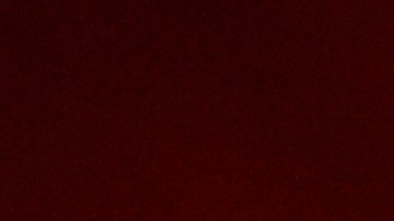 Las autoridades aún están tratando de esclarecer las circunstancias que llevaron al tiroteo.