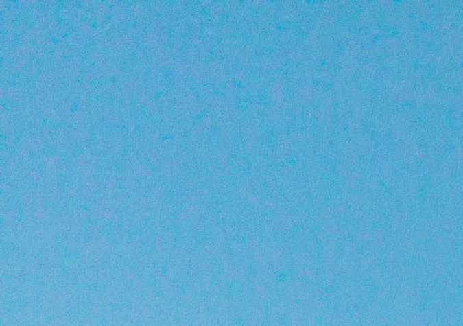 Cuando un presunto crimen ocurre en un crucero con bandera estadounidense o que llega a puertos de EE.UU., el FBI tiene jurisdicción para intervenir