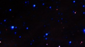 La IA fue capaz de analizar una gran cantidad de datos en cuestión de segundos