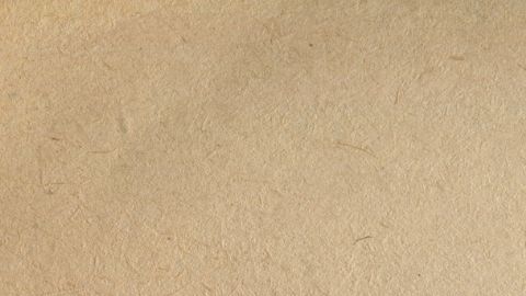 Estos signos pueden ser presa de la obsesión durante la temporada de Leo.