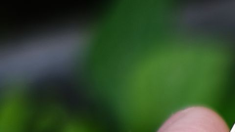 La suerte acompaña a estos signos esta semana de julio.