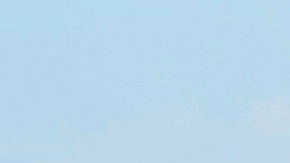 El Departamento del Trabajo eliminó protecciones para los trabajadores agrícolas inmigrantes.