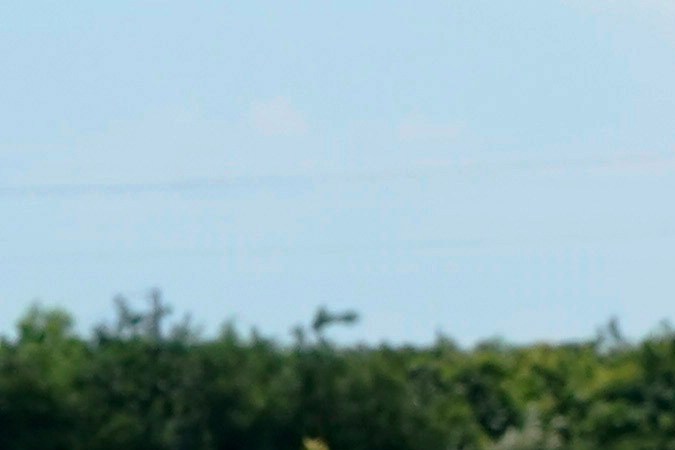 El Departamento del Trabajo eliminó protecciones para los trabajadores agrícolas inmigrantes.