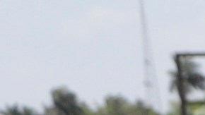 Empresarios piden a Trump soluciones migratorias que reconozcan a los trabajadores indocumentados que sostienen la economía.