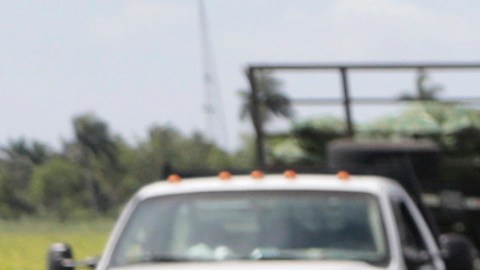Empresarios piden a Trump soluciones migratorias que reconozcan a los trabajadores indocumentados que sostienen la economía.