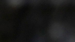 Empresarios reconocen que los inmigrantes son necesarios en la construcción, la agricultura, el cuidado de salud y otros sectores.