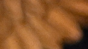 Trump anunció su propuesta para mejorar el acceso de los estadounidenses a sus historiales médicos.