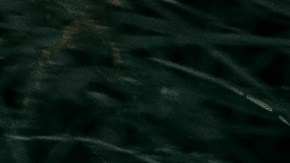 Estos signos abrazan la energía de Venus en Cáncer.