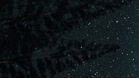 Venus comienza su paso por Géminis y afecta a todos los signos.