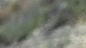 El mexicano Isaac del Toro (UAE) durante la etapa 1 de la Vuelta a Burgos.