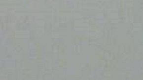 Hasta el momento, McGann no se ha declarado culpable ni ha sido formalmente inculpado.