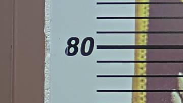 El detenido, identificado como Kevin Wade O’Neal, de 54 años, fue aprehendido el viernes por un equipo de detectives y agentes