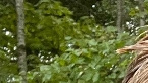 Gardner, cuya desaparición fue reportada hace más de una semana, había planeado una excursión de tres días por la zona de Misty Moon Lake