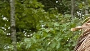 El hombre había desaparecido tras escalar el Cloud Peak, el punto más alto del parque.