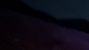 Cuatro vehículos sufrieron daños moderados a severos.