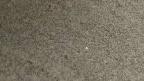 Federico Rodríguez García, alias "Cucho", por "narcoterrorismo".

Washington lanzó una cruzada contra el narcotráfico y el Cártel del Noreste.