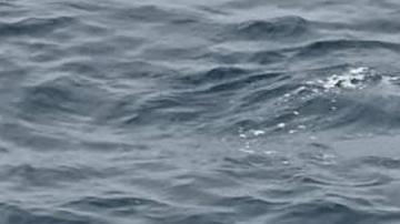 Sube a 76 cifra de migrantes muertos en naufragio en Yemen