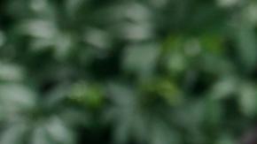 Putin alaba los "sinceros esfuerzos" de EEUU antes de cumbre