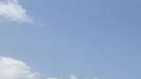 Gaza: cinco periodistas muertos en ataque a hospital