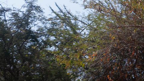 Su uso va en aumento y representa un nuevo reto para el Estado y su Ejército.