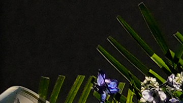 La controversia se ha centrado mayormente en dos de los secuestradores de los aviones: Khalid al-Mihdhar y Nawaf al-Hazmi.