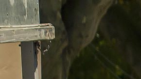 Isaac del Toro festeja uno de sus triunfos en este 2025.