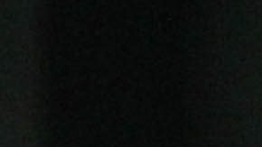 Los gritos se desarrollaron en el Q2 Stadium.