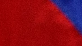 Vladimir Putin confirma interés de reunirse con Donald Trump la próxima semana