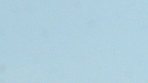 Trump firma orden que prorroga otros 90 días los aranceles para China