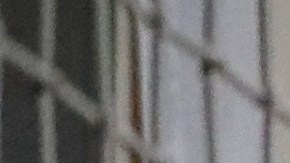 Este nuevo centro buscar replicar el modelo establecido en Alligator Alcatraz.