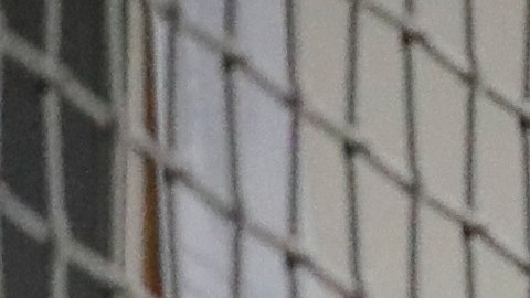 Este nuevo centro buscar replicar el modelo establecido en Alligator Alcatraz.
