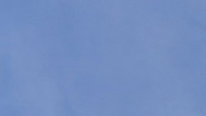 El intento de terminar la ciudadanía por nacimiento podría llegar a la Corte Suprema.