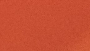 El extécnico de México Bora Milutinovic visitó la concentración del Tri.