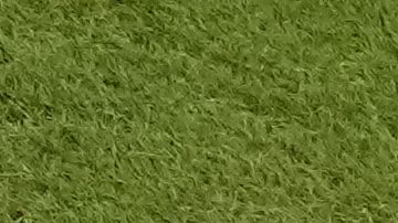 Argentina's Lionel Messi, right, talks with Argentina's Angel Di Maria ahead of the World Cup group C soccer match between Argentina and Mexico, at the Lusail Stadium in Lusail, Qatar, Saturday, Nov. 26, 2022. (AP Photo/Pavel Golovkin)