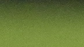 Thomas Muller en festejo de gol.