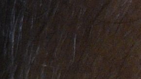 Gabriel Milito solo tiene una victoria en cuatro partidos.