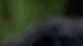 El sindicato United Teachers Los Ángeles pide que el distrito escolar mantenga seguros a los estudiantes,,