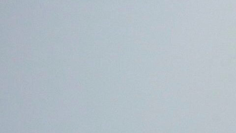 United negó que el fallo se tratara de un ciberataque.