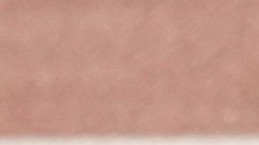 Ricardo Gareca no tuvo un gran paso por la selección de Chile.