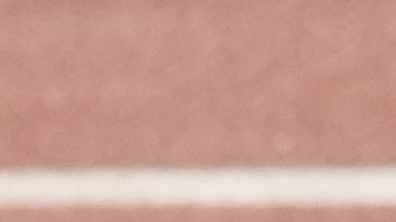 Ricardo Gareca no tuvo un gran paso por la selección de Chile.