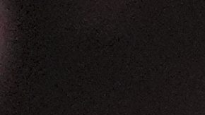 Dana White aparece junto al presidente Donald Trump durante la velada del UFC 316 en Nueva Jersey.