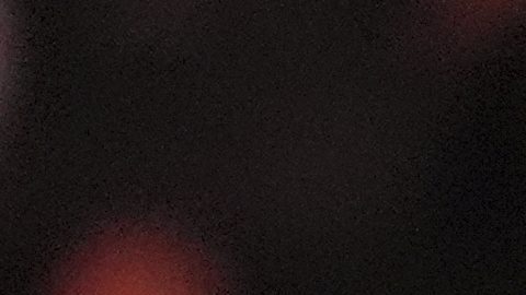 Dana White aparece junto al presidente Donald Trump durante la velada del UFC 316 en Nueva Jersey.