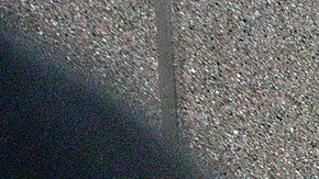 ICE mantiene operativos contra inmigrantes, incluso en cortes.