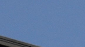 Palmeiras fans react during the Club World Cup round of 16 soccer match between Palmeiras and Botafogo in Philadelphia, Saturday, June 28, 2025. (AP Photo/Matt Slocum)