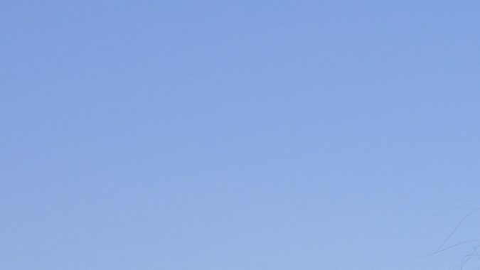 Una persona protesta contra las redadas migratorias enfrente de agentes federales durante un operativo en el parque MacArthur de Los Ángeles el 7 de julio de 2025.