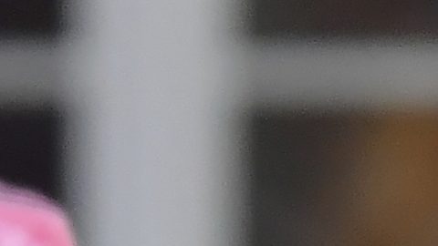 El argentino Baltasar Rodríguez fue el autor del tanto contra el DC United.