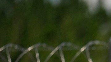 Un reporte del senador Jon Ossoff documenta abusos contra embarazadas y niños en prisiones de ICE.